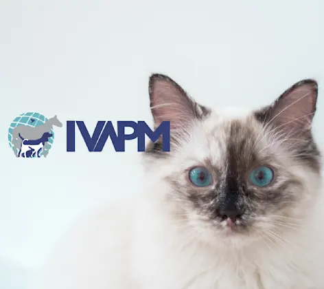International Veterinary Academy of Pain Management (IVAPM) International Veterinary Academy of Pain Management (IVAPM)