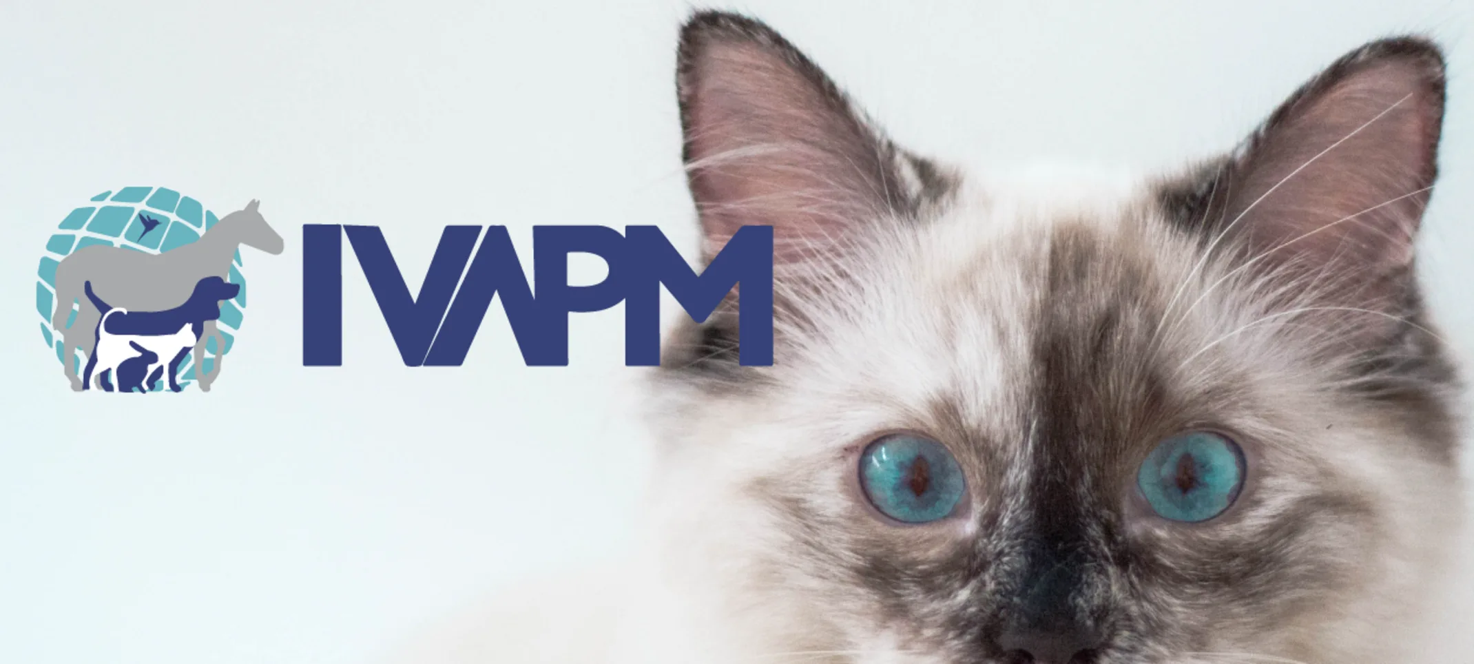 International Veterinary Academy of Pain Management (IVAPM) International Veterinary Academy of Pain Management (IVAPM)
