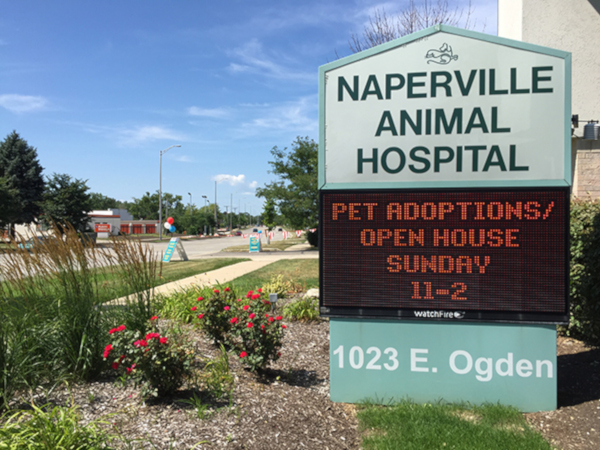 Naperville Front Sign