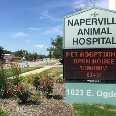 Naperville Front Sign