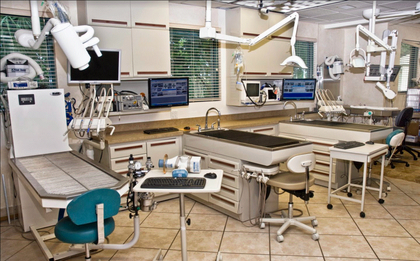 Hometown Animal Hospital - Medical Room 8