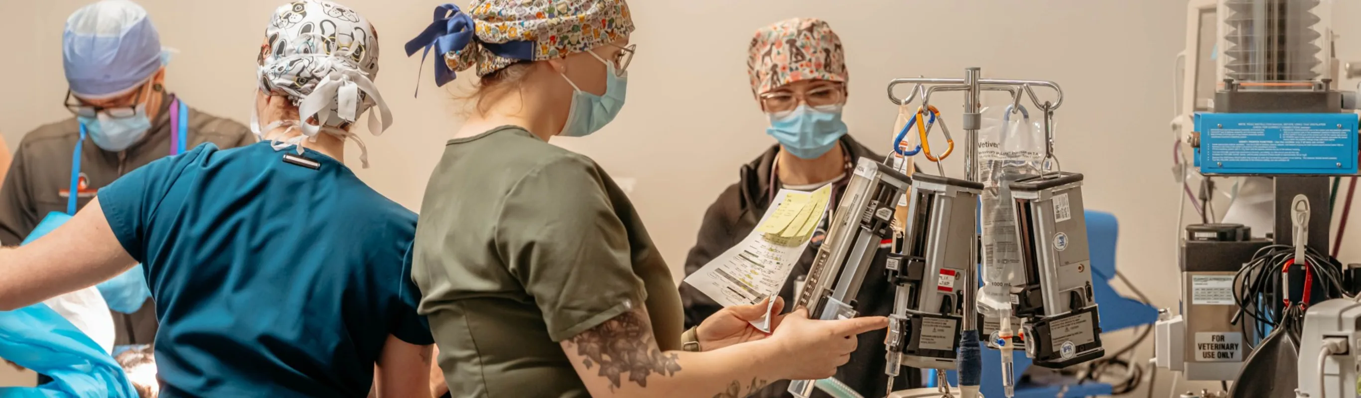 ICU & Hospitalization at Southern Oregon Veterinary Specialty Center ICU & Hospitalization at Southern Oregon Veterinary Specialty Center