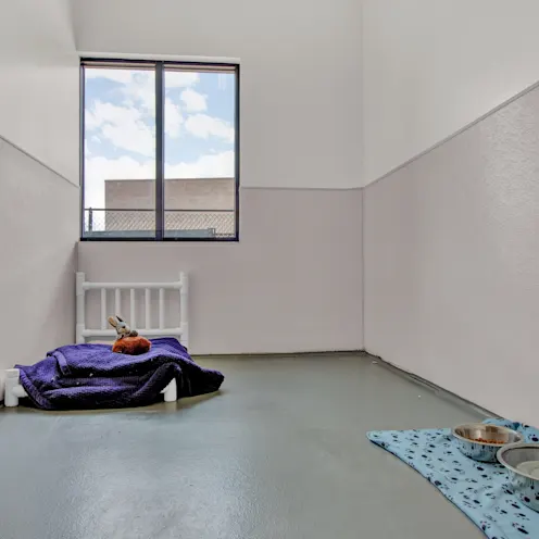 Suite with a window view at City Bark Suite with a window view at City Bark