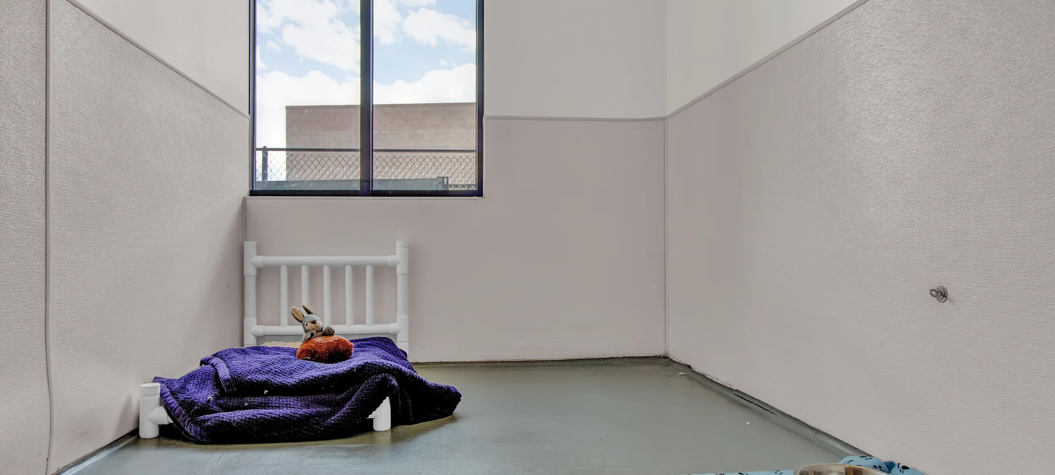 Suite with a window view at City Bark Suite with a window view at City Bark