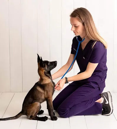 Alyssa Lee Alyssa Lee