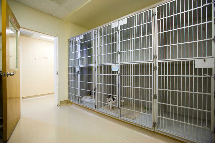 Kennels for the pets visiting Oakhurst Veterinary Hospital