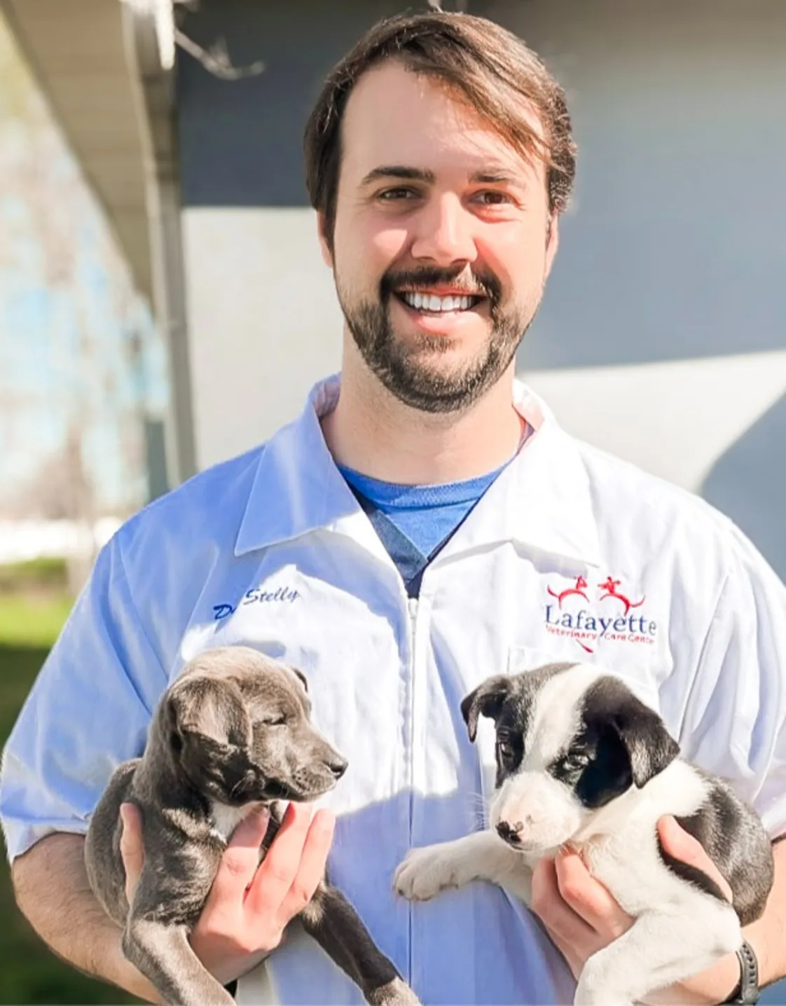 Dr. Philip Stelly Dr. Philip Stelly