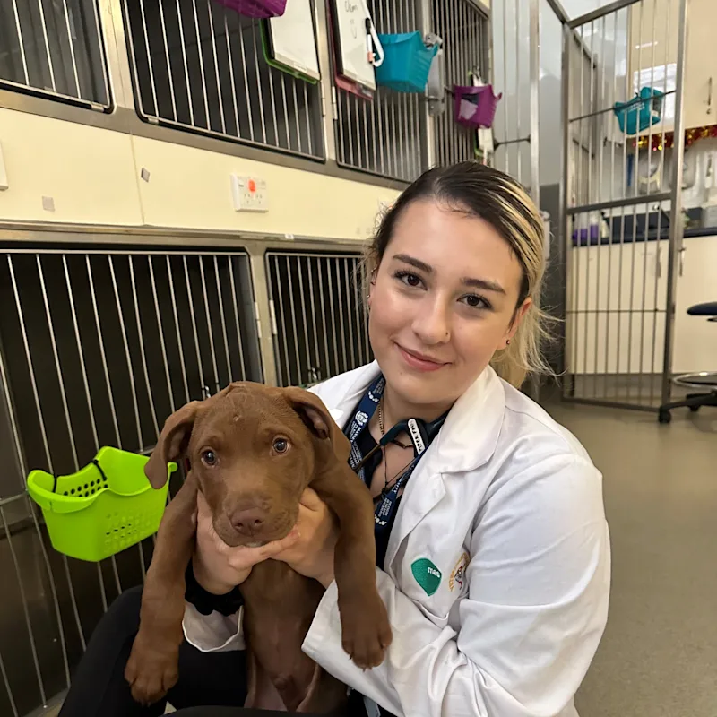 Dr. Piper Finn Dr. Piper Finn