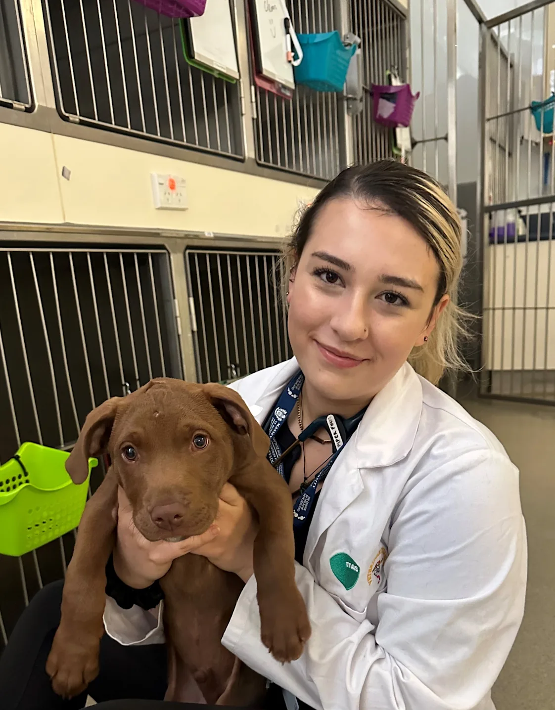 Dr. Piper Finn Dr. Piper Finn