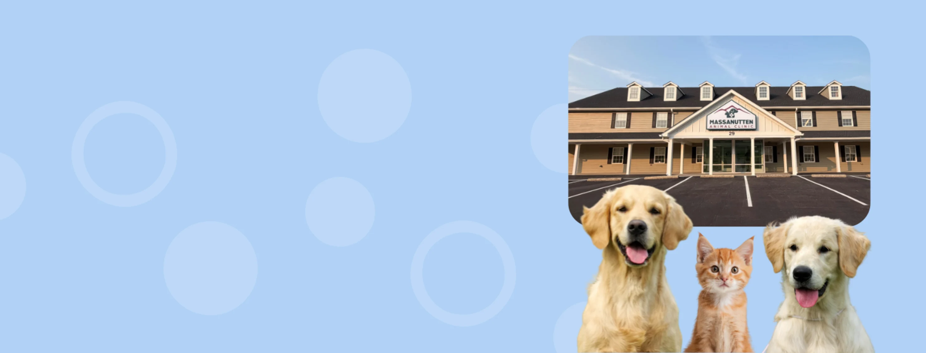 Our New Hospital Is Now Open at Massanutten Animal Clinic Our New Hospital Is Now Open at Massanutten Animal Clinic