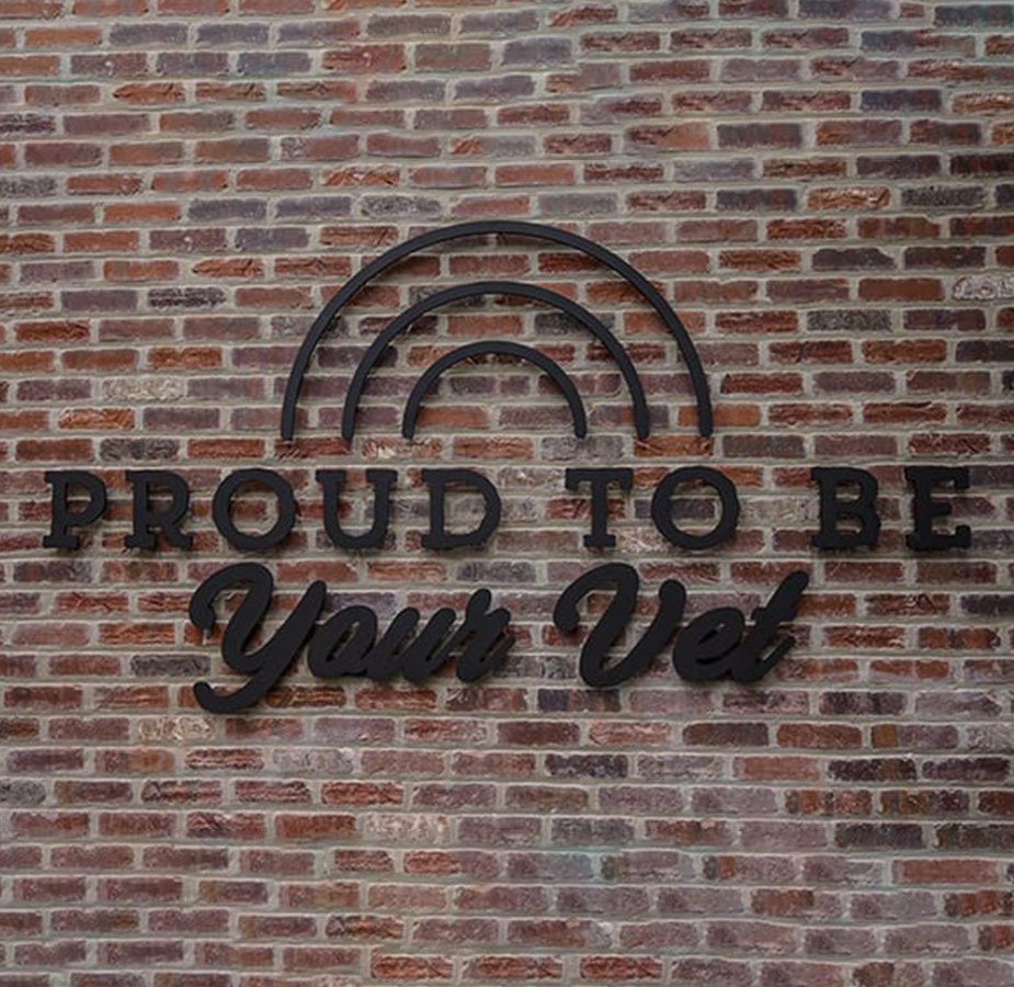 Saying proud to be your vet sign with rainbow on a brick wall