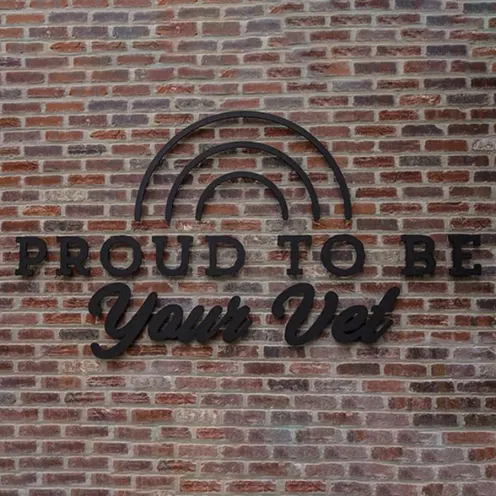 Saying proud to be your vet sign with rainbow on a brick wall
