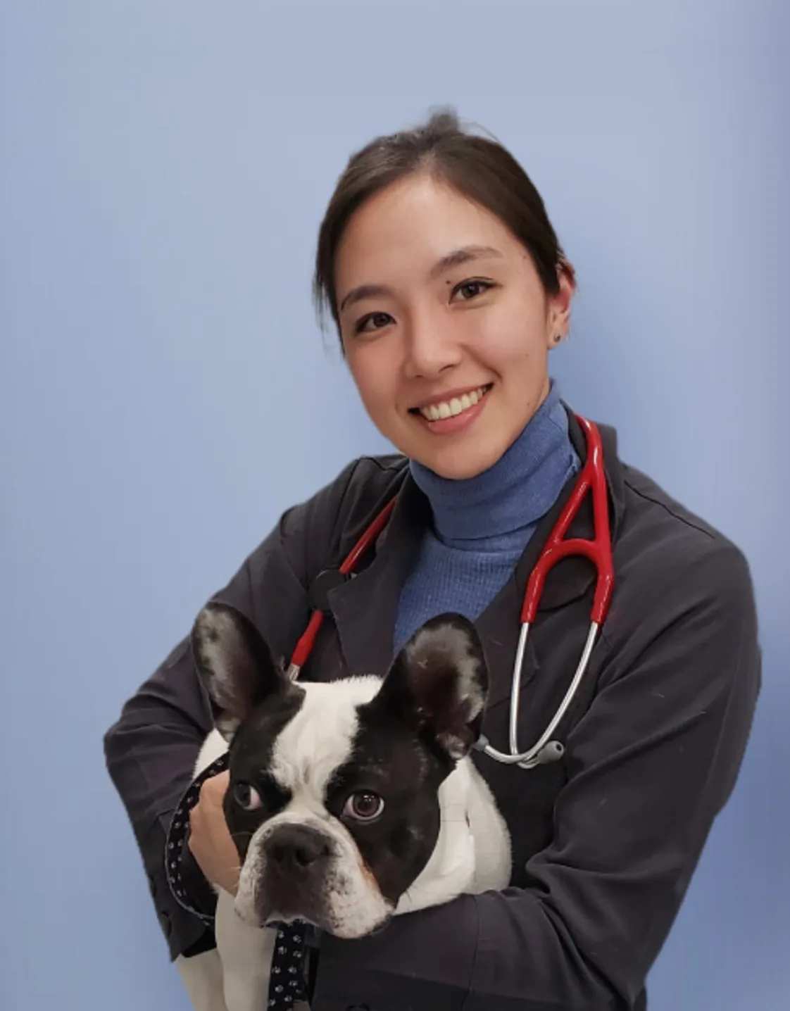 Dr. Briana Konigsberg at Oak Animal Hospital Dr. Briana Konigsberg at Oak Animal Hospital