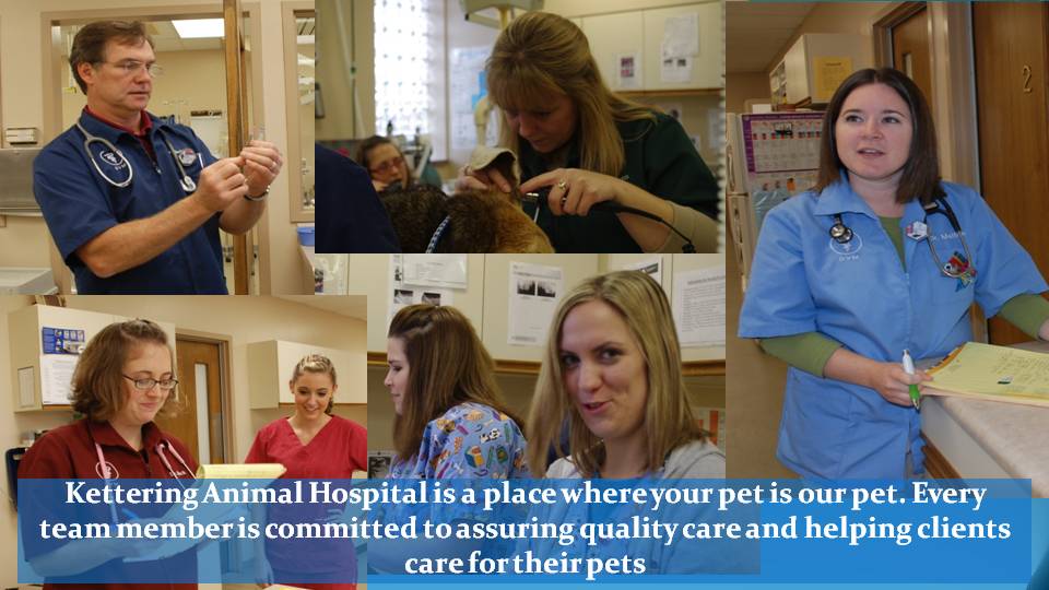 Collage of different staff members from Kettering Animal Hospital