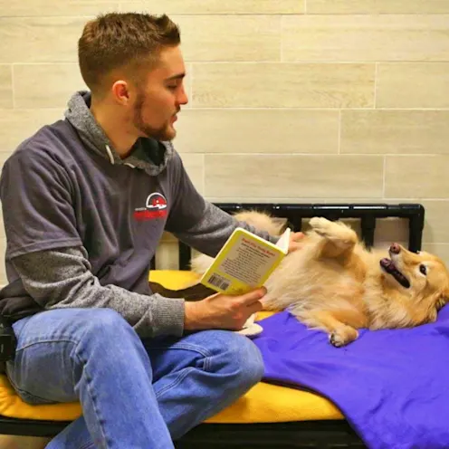 Staff reading a book Staff reading a book