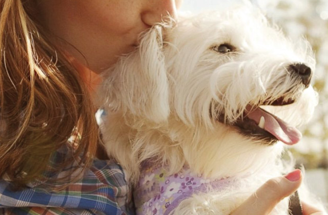 Contact Us | The Pet Ranch