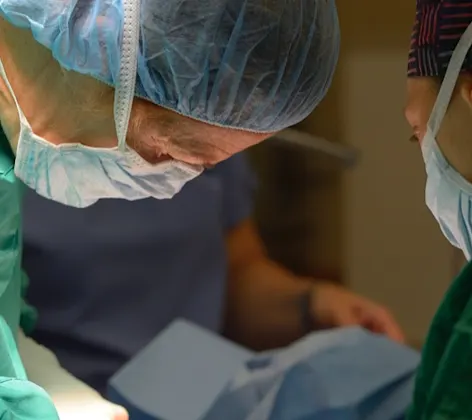 Doctors undergoing a pet surgery Doctors undergoing a pet surgery