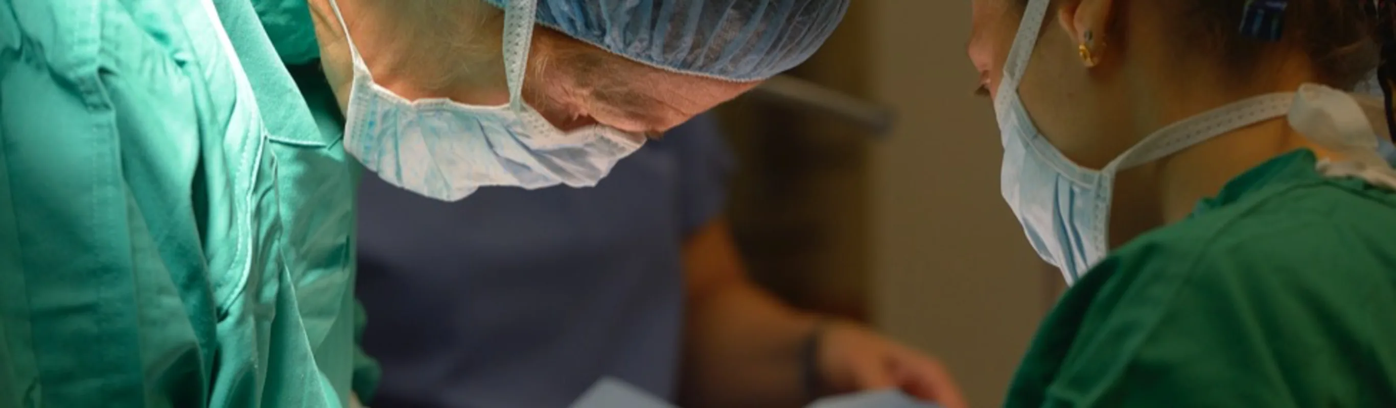 Doctors undergoing a pet surgery Doctors undergoing a pet surgery