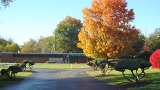 Florissant Animal Hospital Front