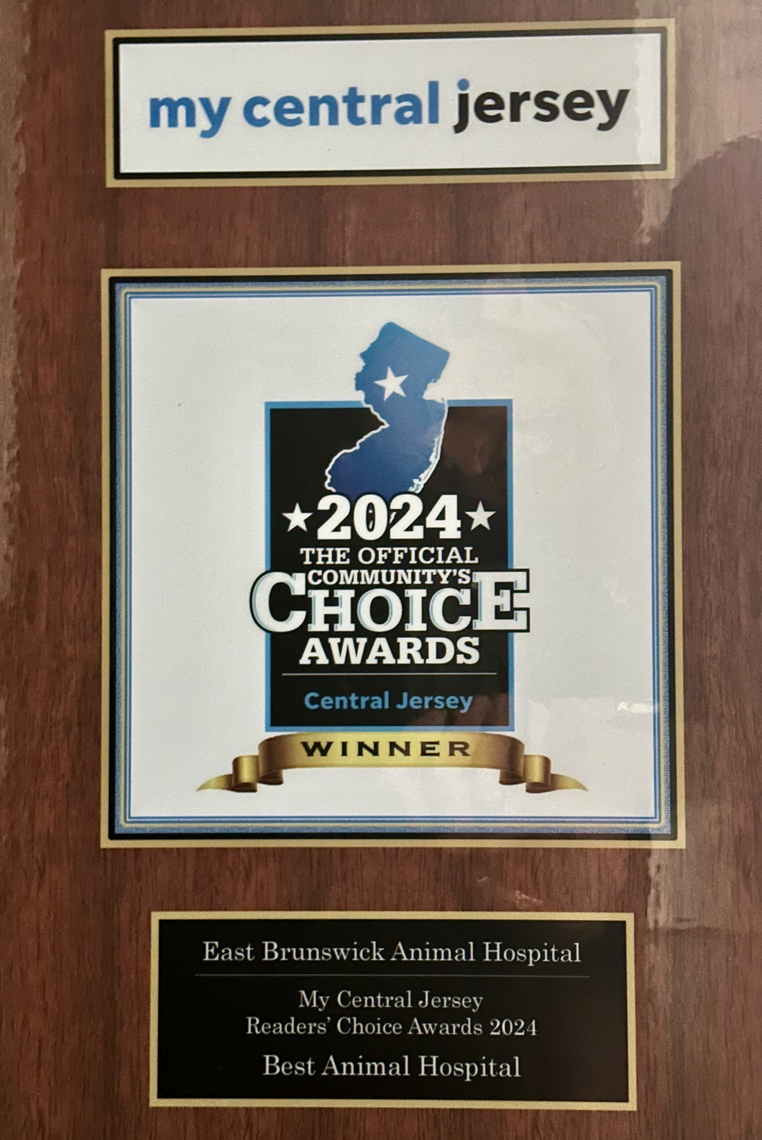 My Central Jersey 2024 Choice Award