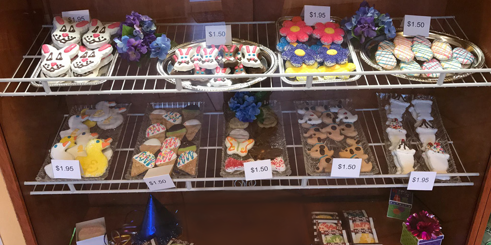 New Tampa Pet Resort Treats