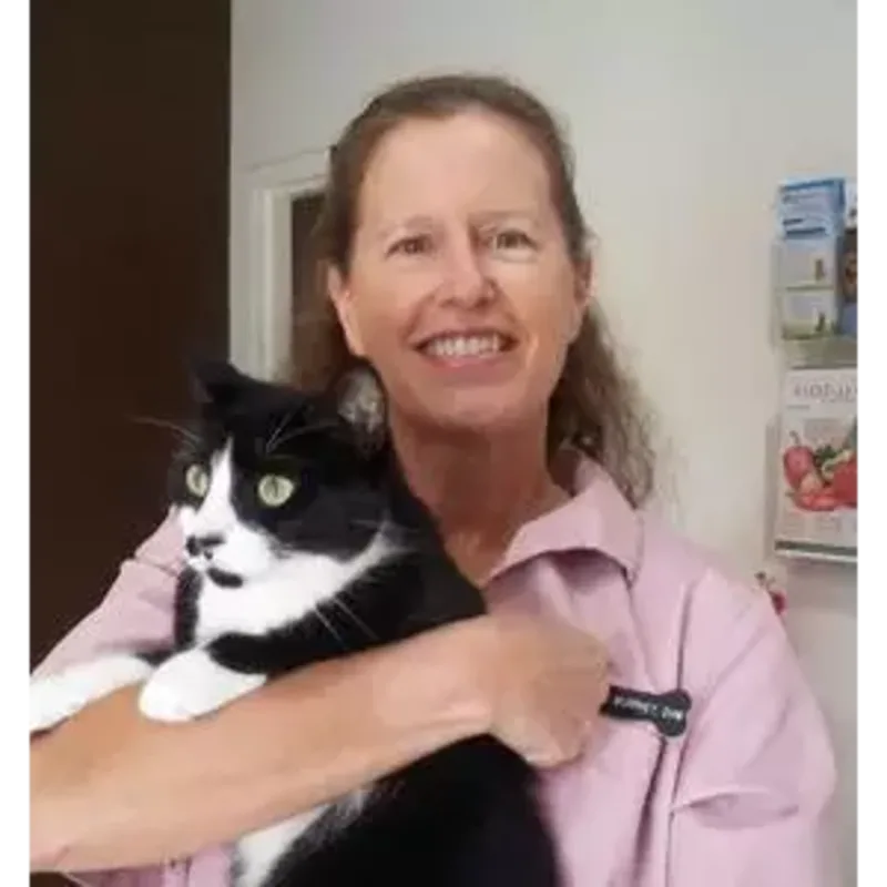 Joanne Murphey Joanne Murphey