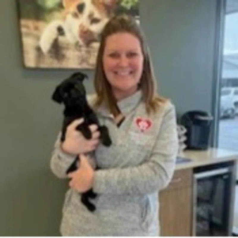 New Staff Member New Staff Member
