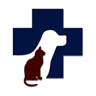 Family Veterinarian in Herndon, VA | Herndon Animal Medical Center