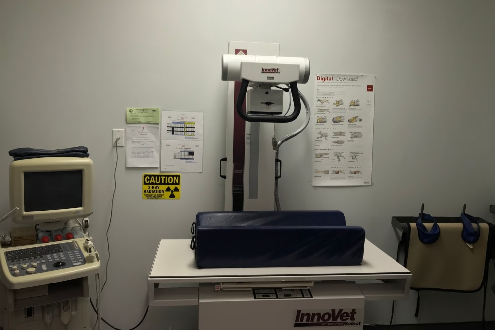 Countryside Veterinary Clinic of Richmond Xray equipment