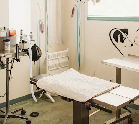 An operating table An operating table