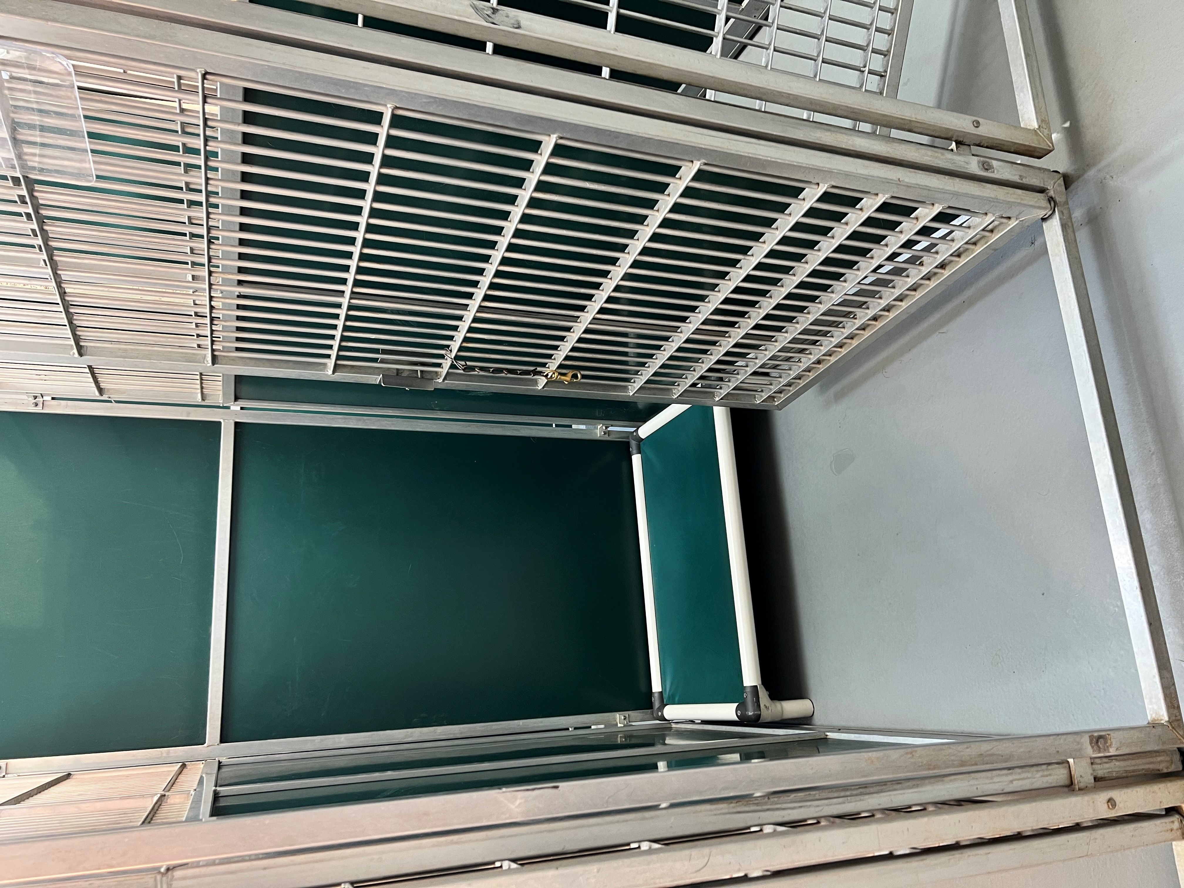 Inside the kennel runs