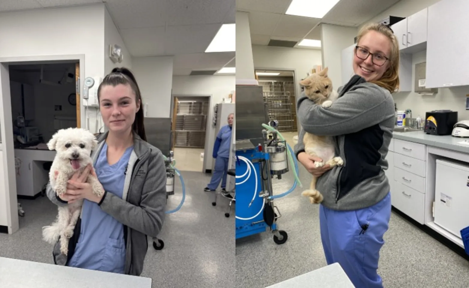 Staff of West Frederick Vet Hospital holding dog and cat 