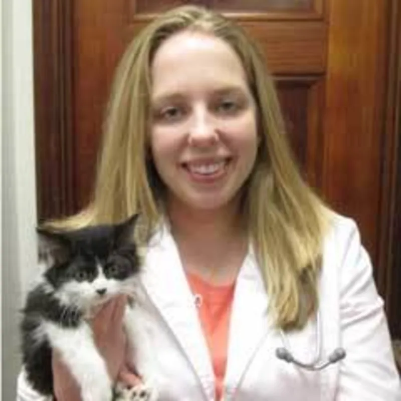 Dr. Amy Lovall Dr. Amy Lovall