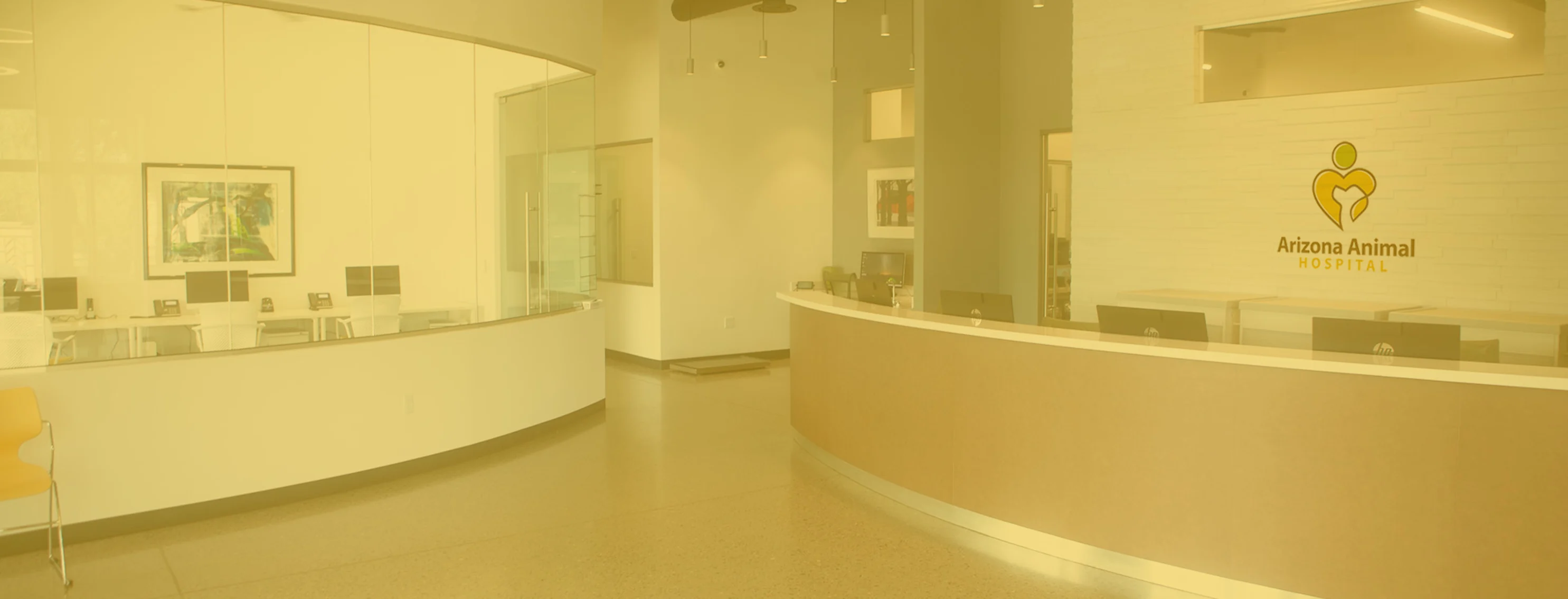 Front desk at Arizona Animal Hospital with a yellow overlay on image Front desk at Arizona Animal Hospital with a yellow overlay on image