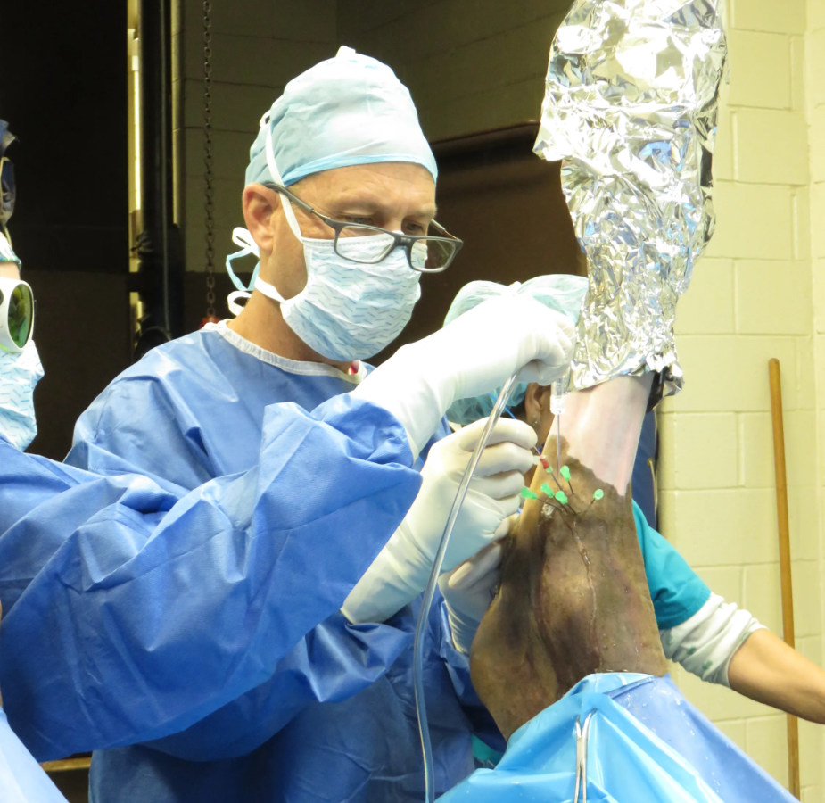 Doctor performing laser hock surgery