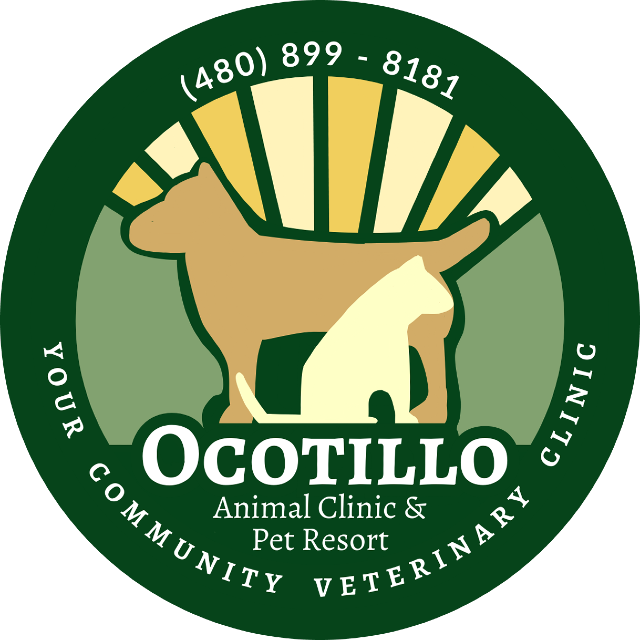Ocotillo Animal Clinic & Pet Resort Logo