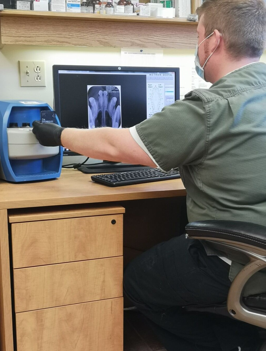Veterinarian on computer at Three Islands Veterinary Services