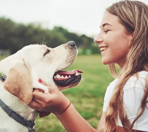 Dog and woman looking at each other smiling Dog and woman looking at each other smiling