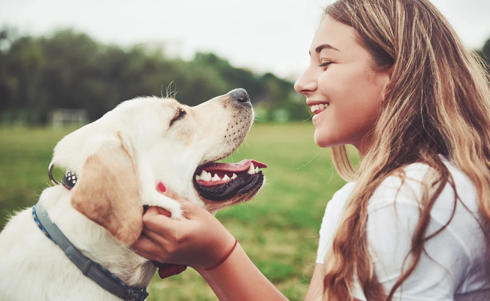 Dog and woman looking at each other smiling