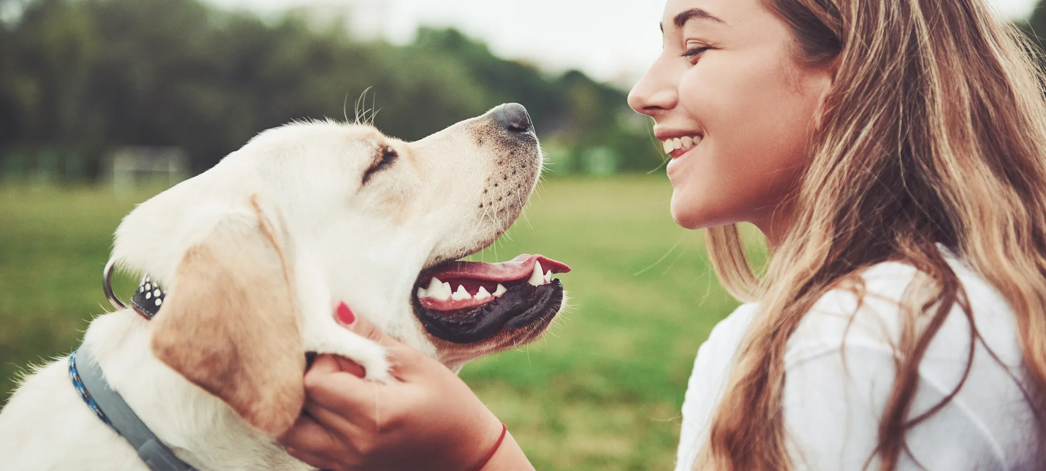 Dog and woman looking at each other smiling Dog and woman looking at each other smiling