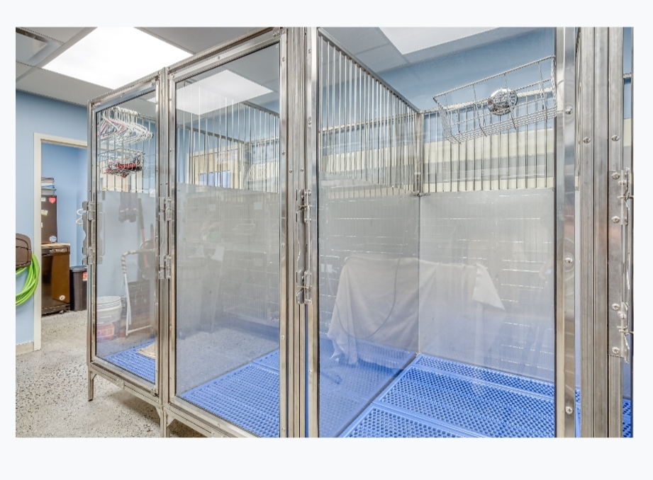 Pet Samaritan Clinic 