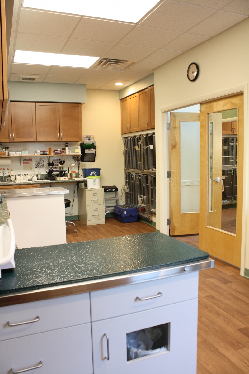Examination room with medical equipment