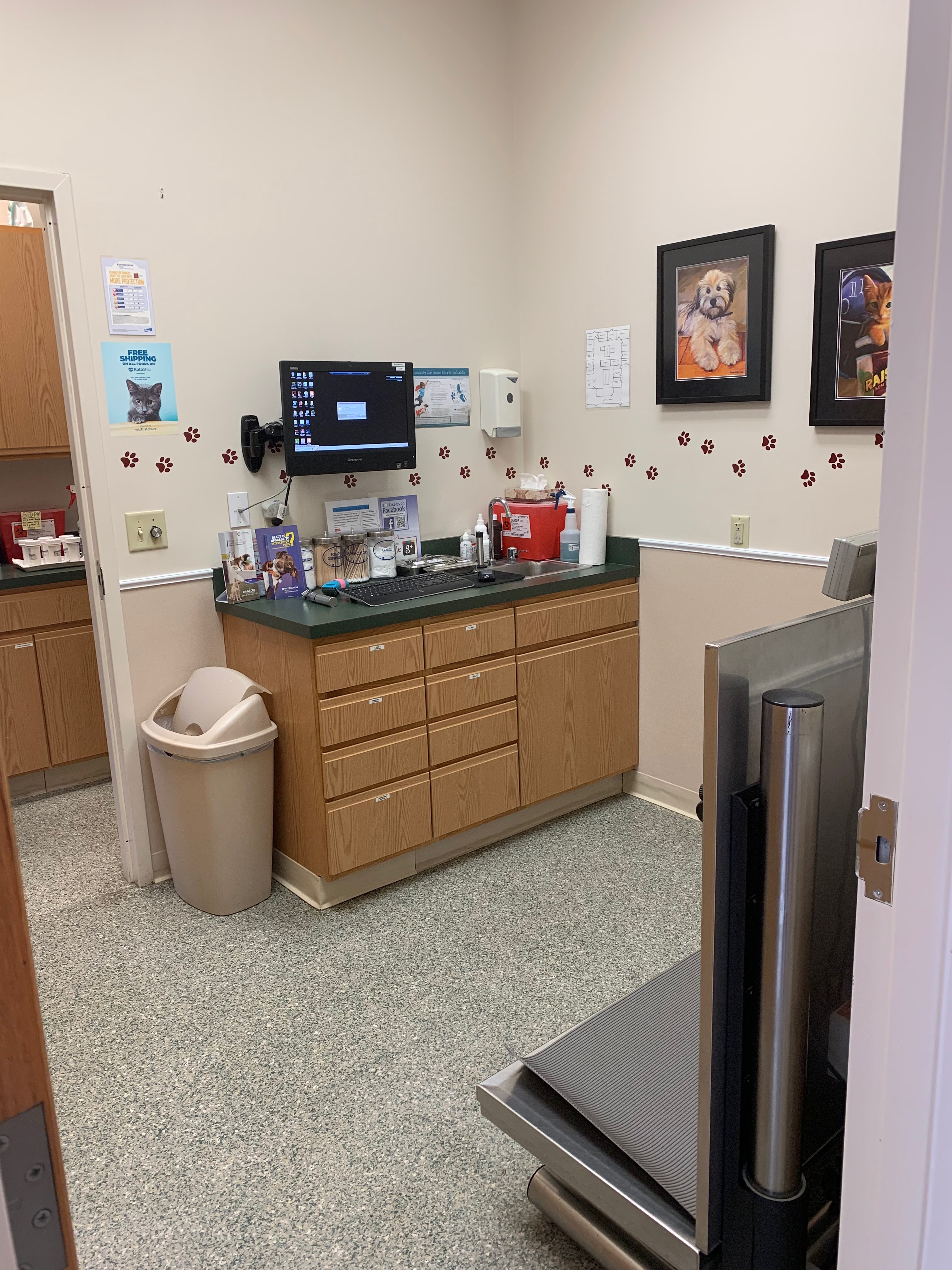 Greenbrier Veterinary Clinic Examination Room