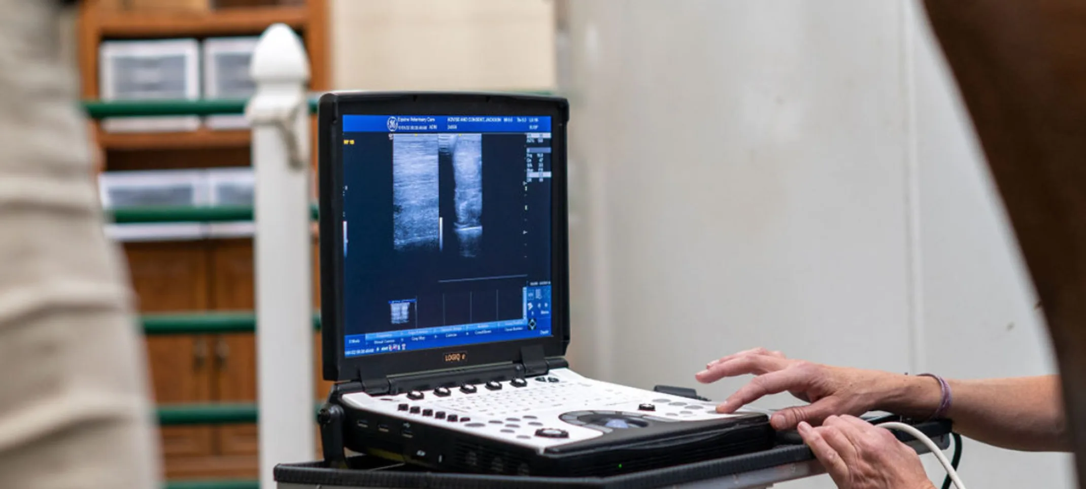 Technology showing images of a horse Technology showing images of a horse