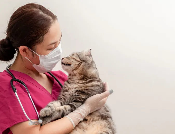 Staff holding a cat while wearing a face mask