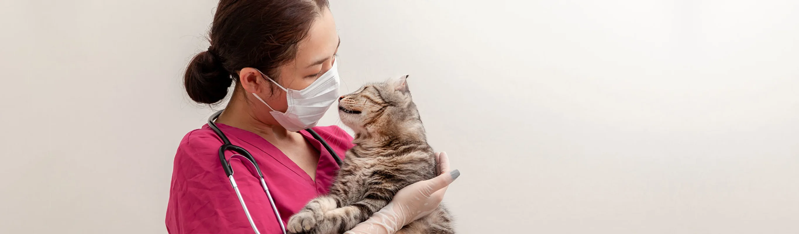 Staff holding a cat while wearing a face mask