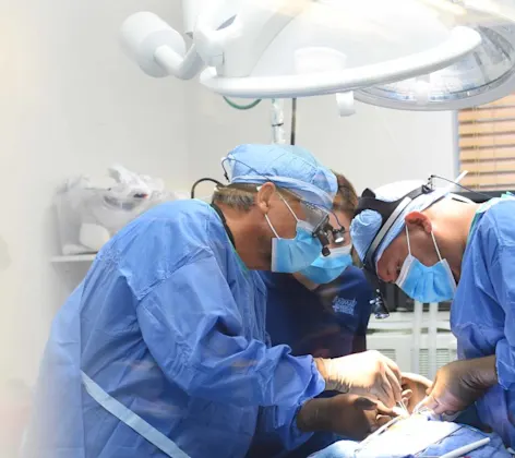 Cardiology at AMC of Hattiesburg. Cardiology at AMC of Hattiesburg.