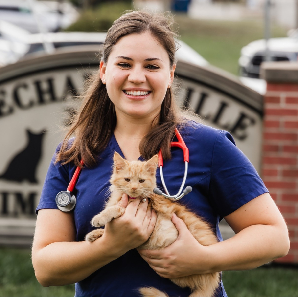 Mechanicsville Animal Hospital provides quality veterinary care for your  pets in Hanover County, VA. | Mechanicsville Animal Hospital