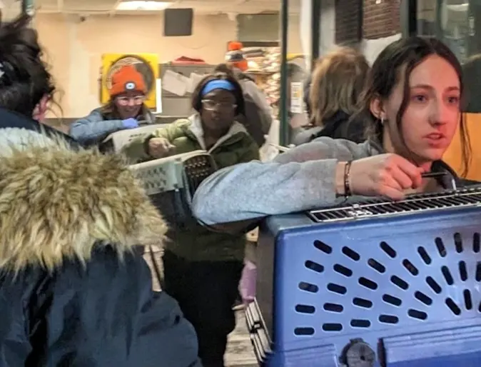 Staff and volunteers at Midwest Animal Hospital evacuating pets in carriers Staff and volunteers at Midwest Animal Hospital evacuating pets in carriers