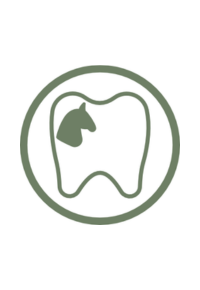 Equine Dentistry green icon